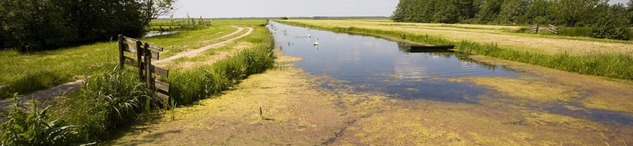 CGN brengt gewas-gerelateerde wilde plantensoorten in kaart