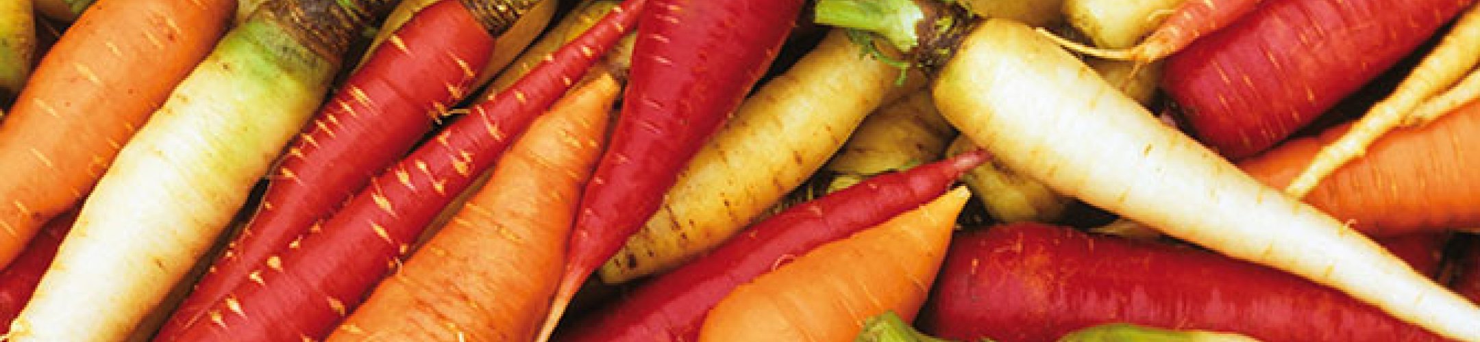 De Oranje Lijst: Zeldzame groenterassen in de etalage