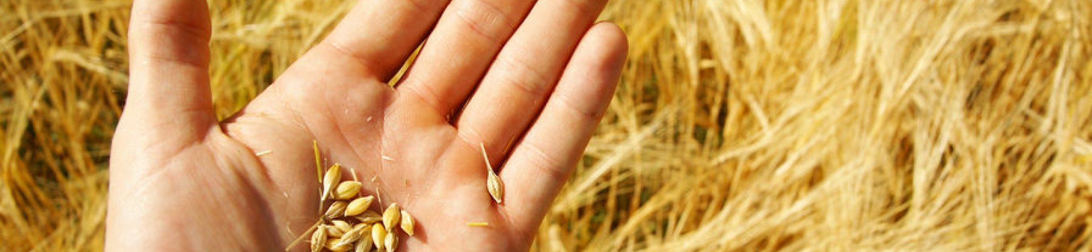 Deelnemers de Oerakker