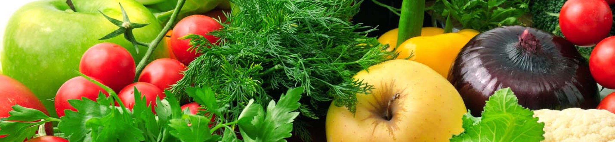 Kennisbank Plantaardige Bronnen