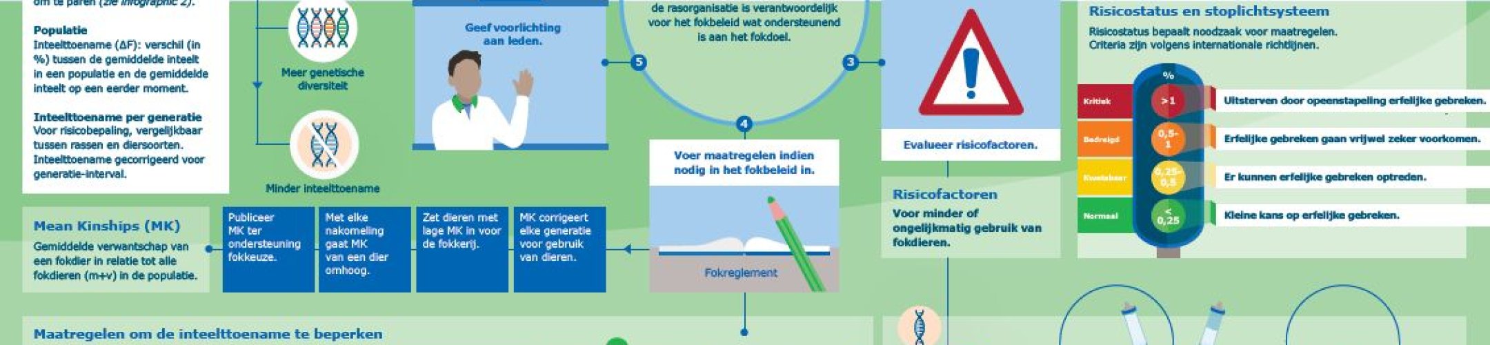 Omgaan met inteelt en verwantschap in een ras - CGN infographic 3