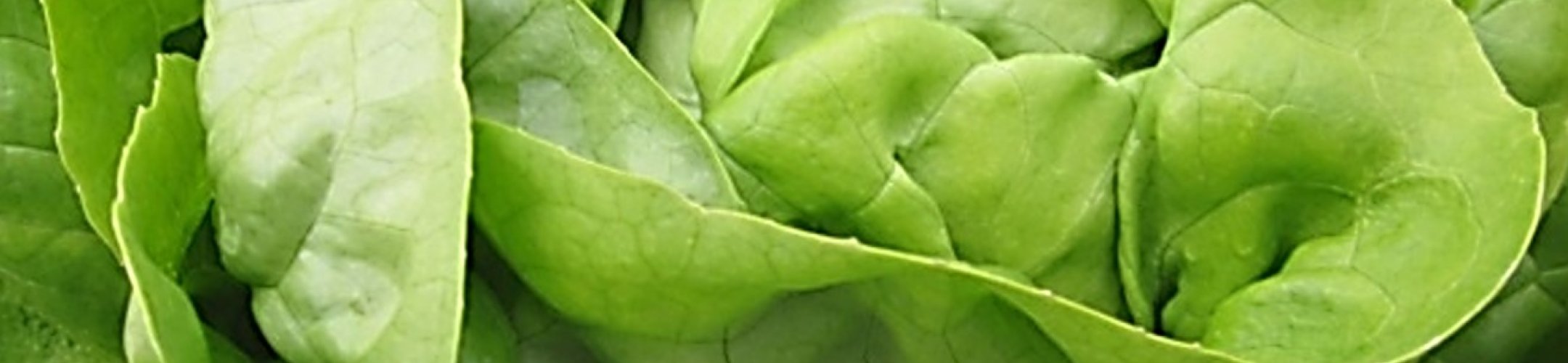 Passe-Partout (v.a. 1862)