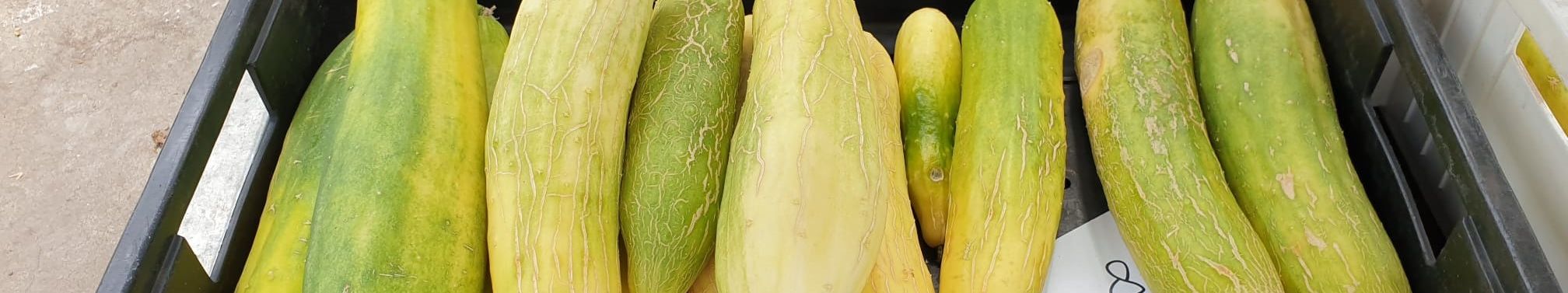 Toegankelijkheid oude rassen