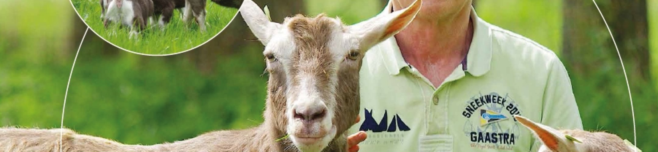 Variatie in geitenrassen