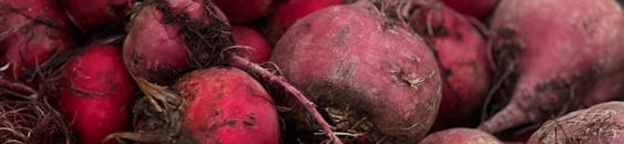 Wortel- en knolgewassen