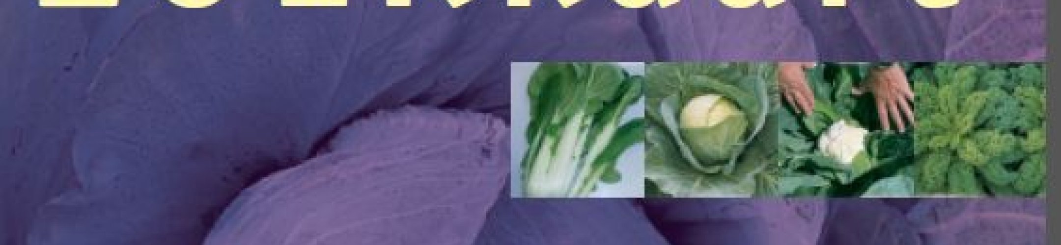 Zoekkaart om zelf koolsoorten te herkennen