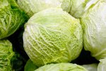 IJsbergsla krop (Shutterstock_5164036).jpg